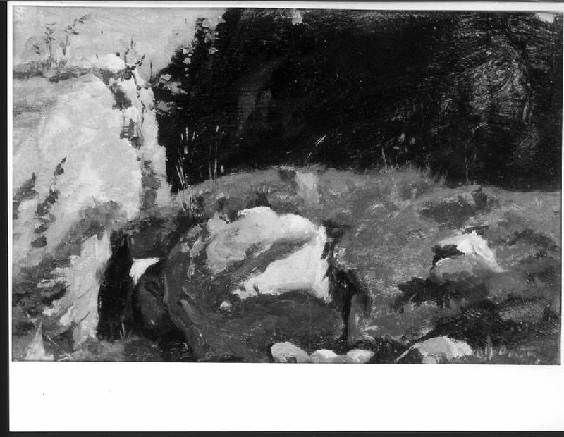 Prato con rocce al limite del bosco - Pinacoteca Ambrosiana, Milano